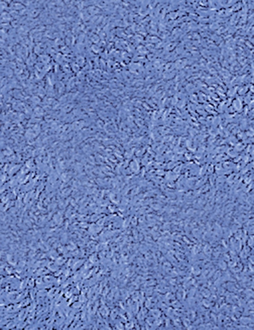 Baðmottur - Image 11