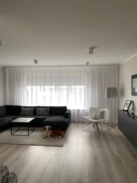 Gardínur - Voile með höráferð - Image 19